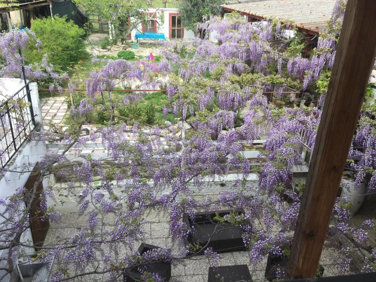 B&B Il Secolo Breve Ortona Dış mekan fotoğraf