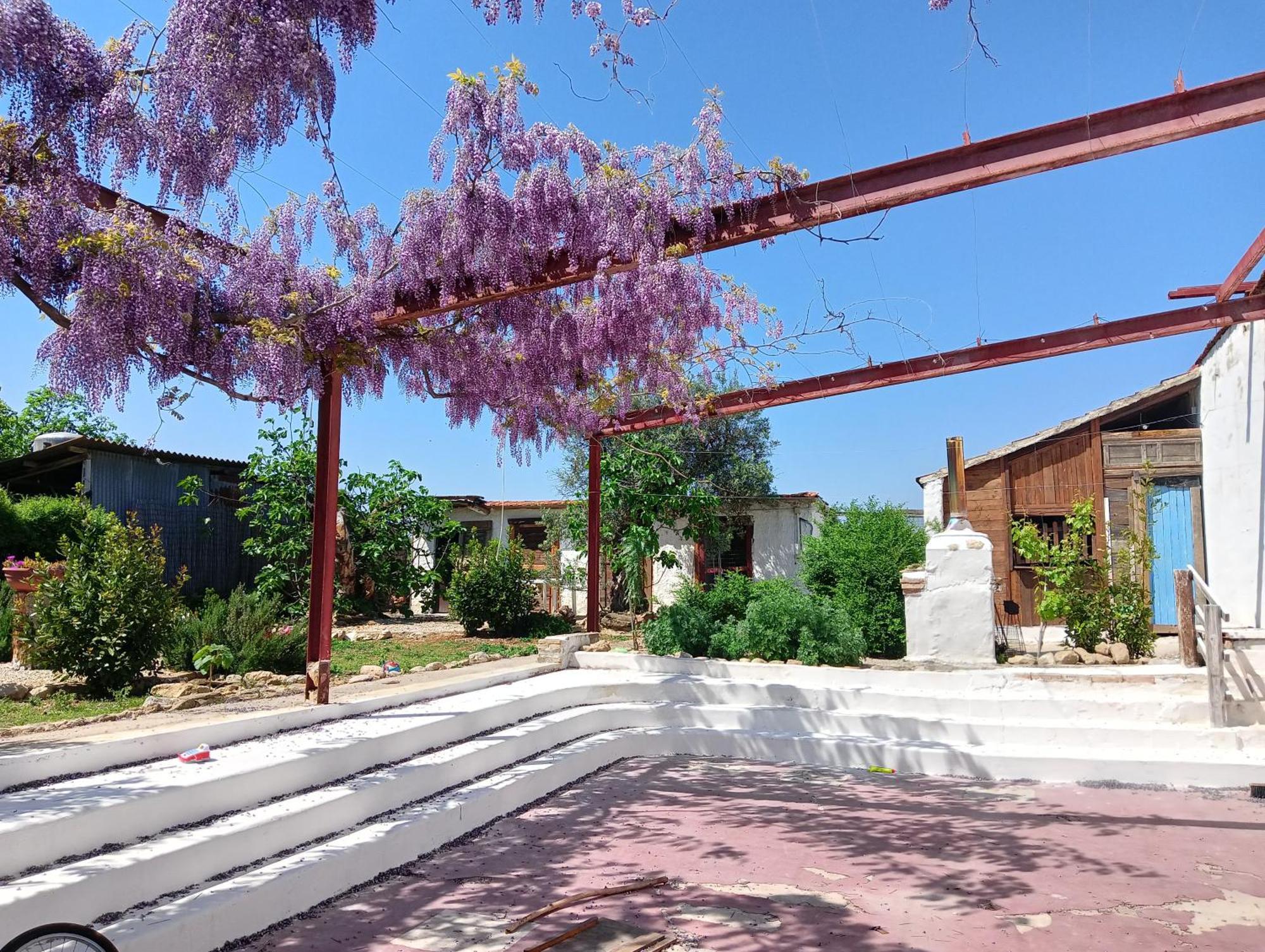 B&B Il Secolo Breve Ortona Dış mekan fotoğraf