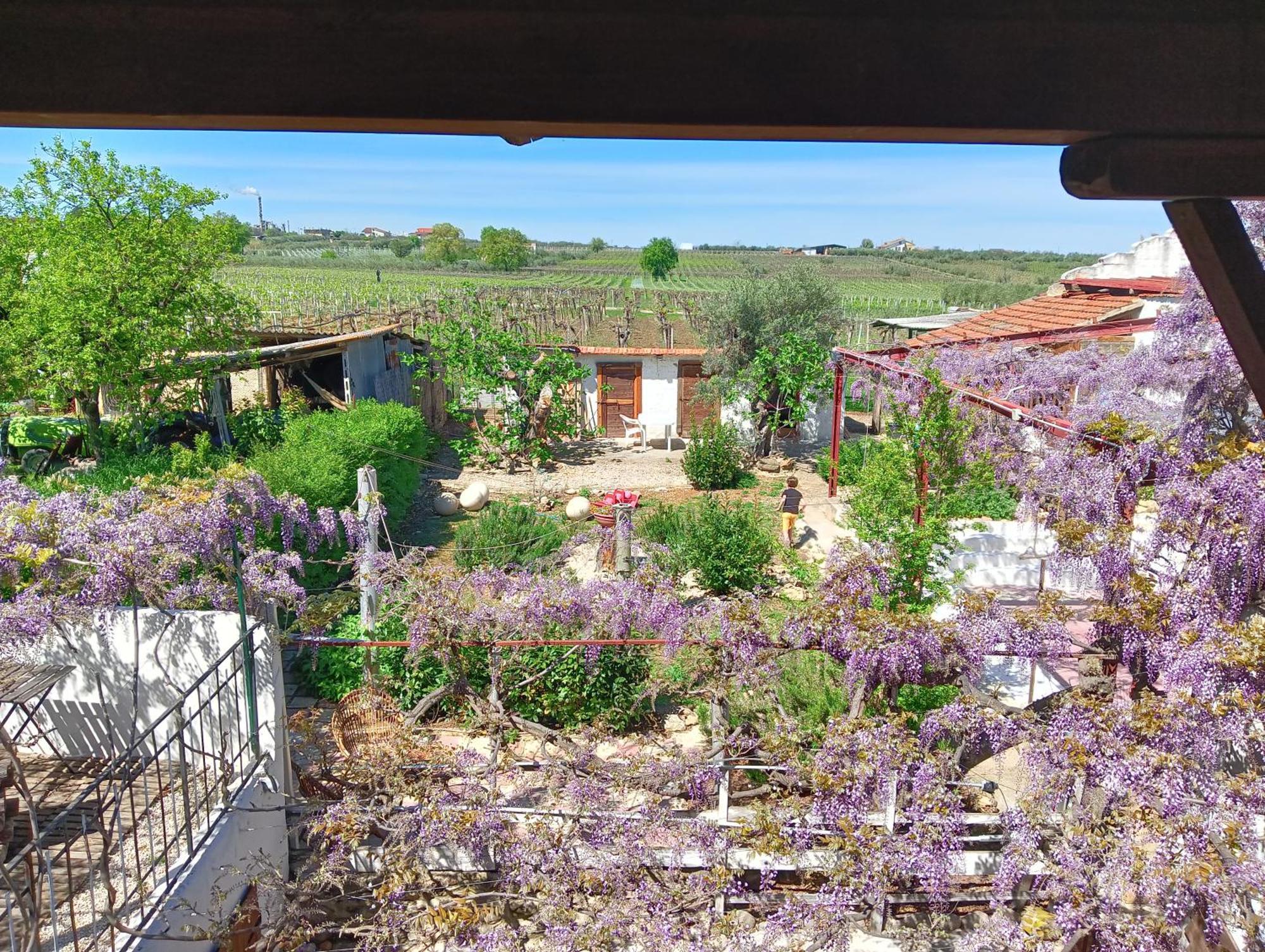 B&B Il Secolo Breve Ortona Dış mekan fotoğraf